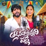 Thadisipotunnadi Palle